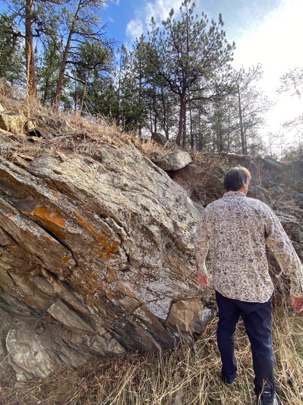 Patagonia perl-snap western shirt